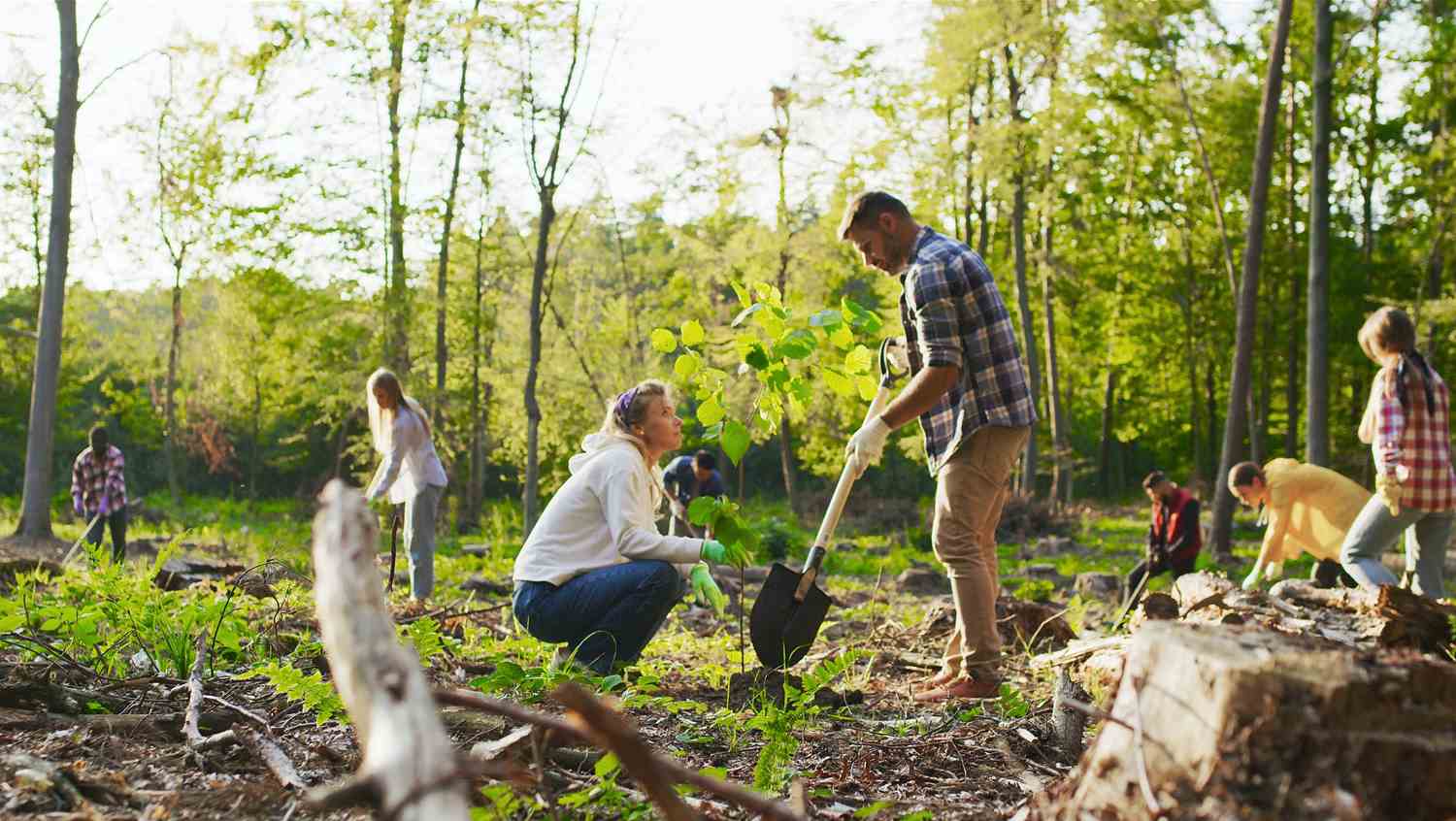 Doing our part — our commitment to sustainability